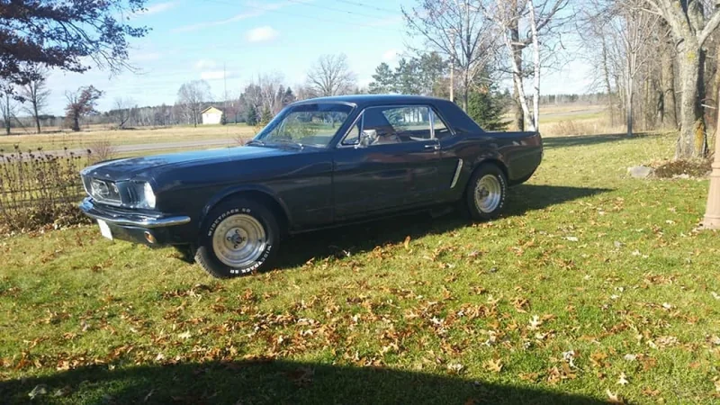 1965 Ford Mustang 19