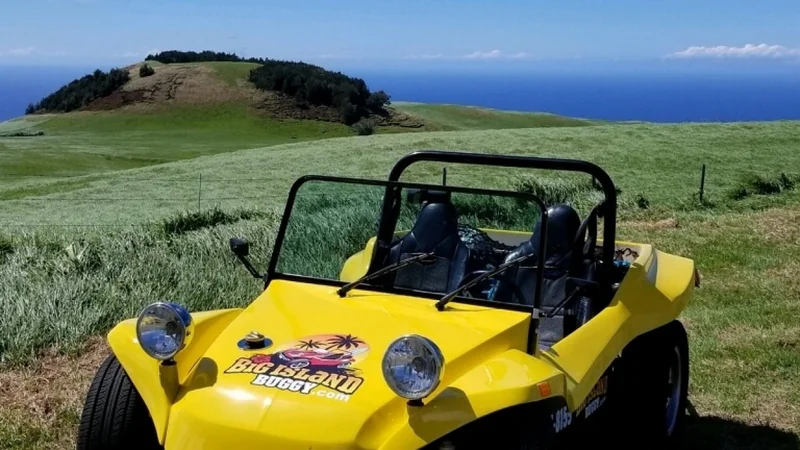 1967 Volkswagen Dune Buggy 4