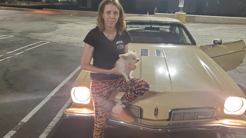 1973 Oldsmobile Cutlass Model S Sun Coupe 2