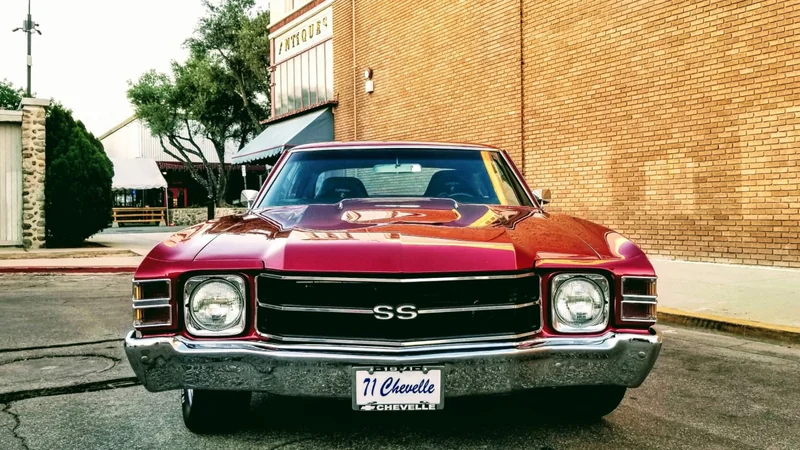 1971 Chevrolet Chevelle Malibu 12