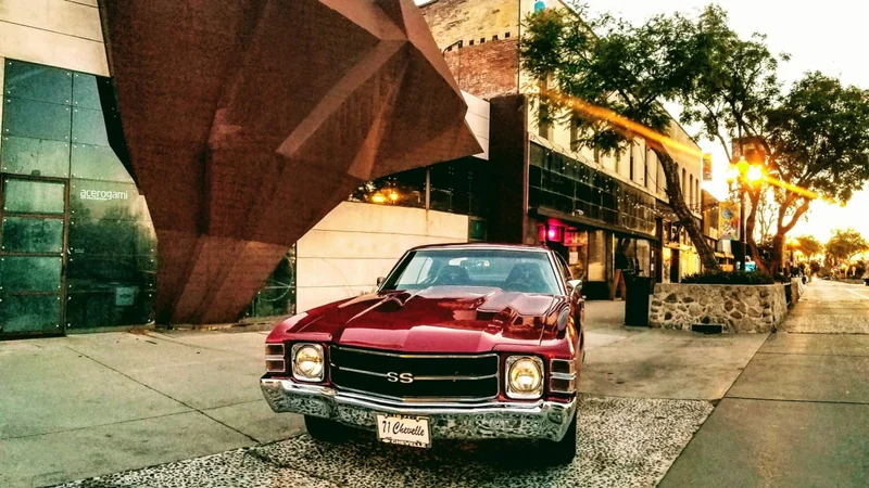 1971 Chevrolet Chevelle Malibu 13
