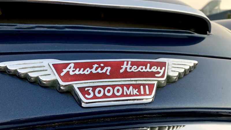 1963 Austin-Healey 3000 6