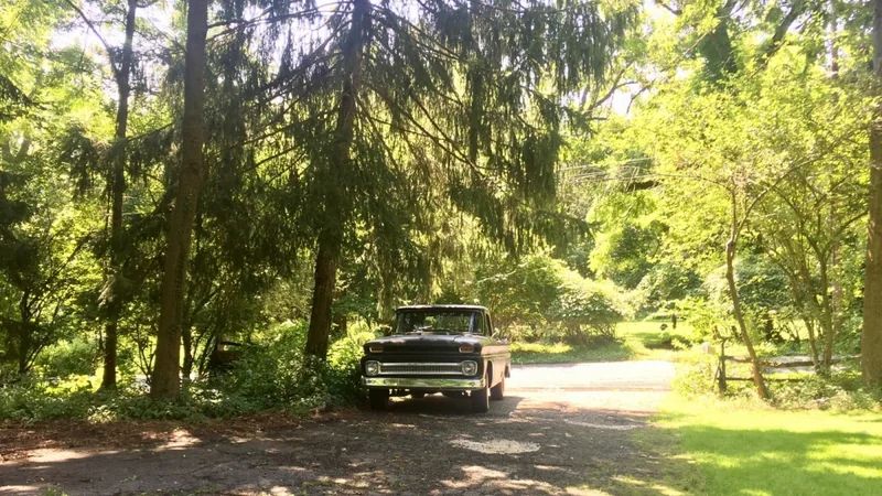 1966 Chevrolet C10 5