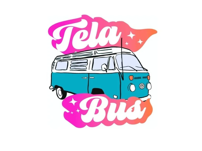 1978 Volkswagen Campmobile 4