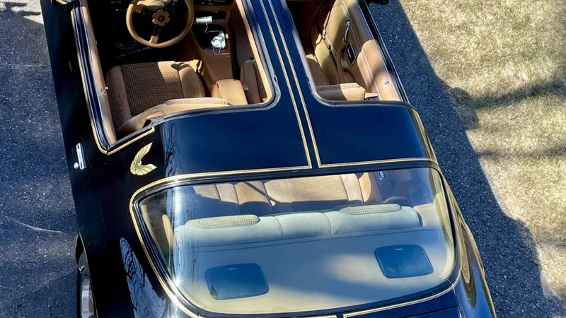 1979 Pontiac Trans am