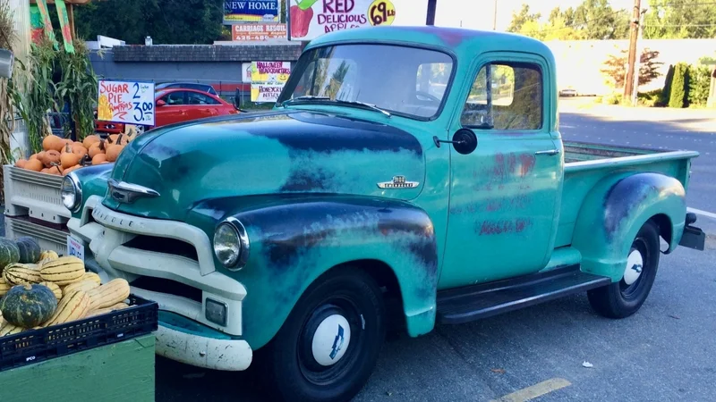 1955 Chevrolet 3100 5