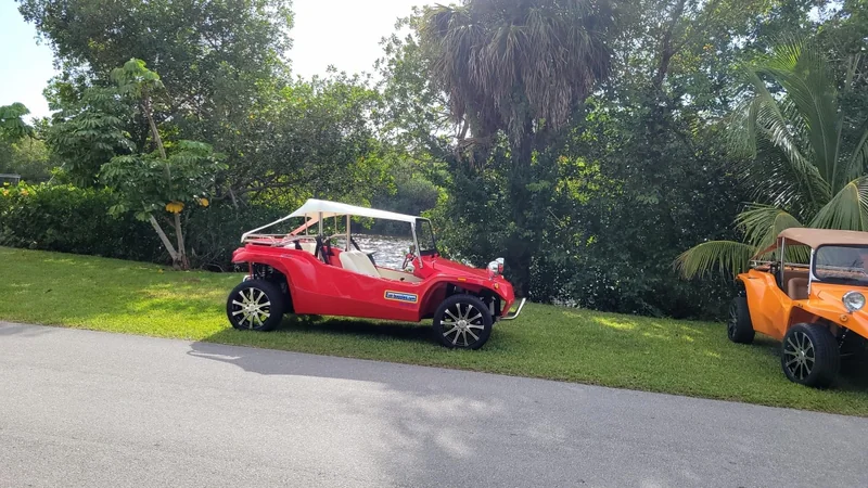 1965 Volkswagen Buggy 4