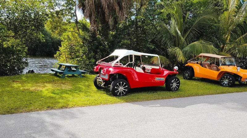 1965 Volkswagen Buggy 5