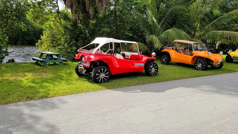 1965 Volkswagen Buggy 6