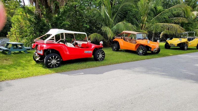 1965 Volkswagen Buggy 7