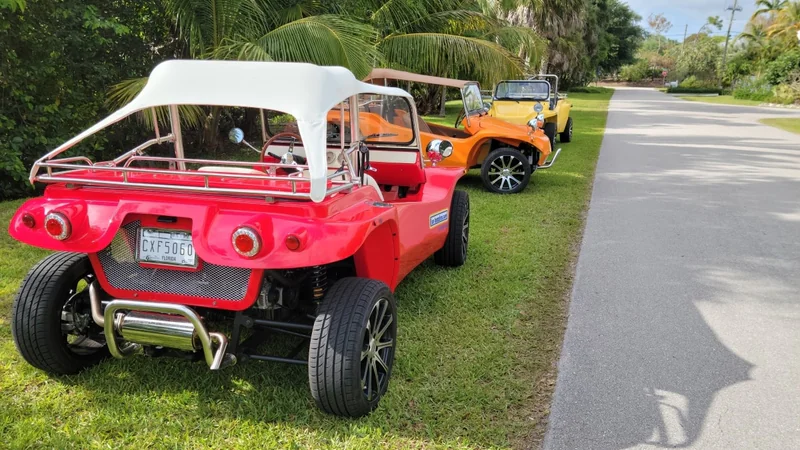 1965 Volkswagen Buggy 8
