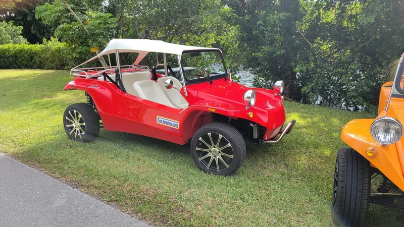 1965 Volkswagen Buggy 14