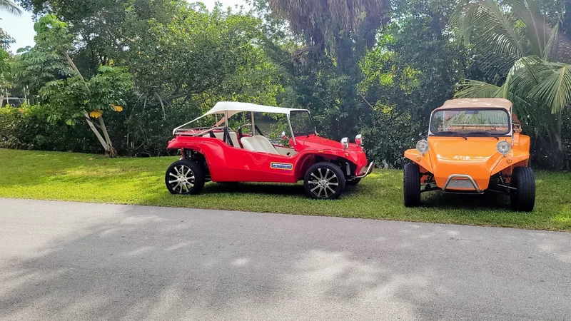 1965 Volkswagen Buggy 15