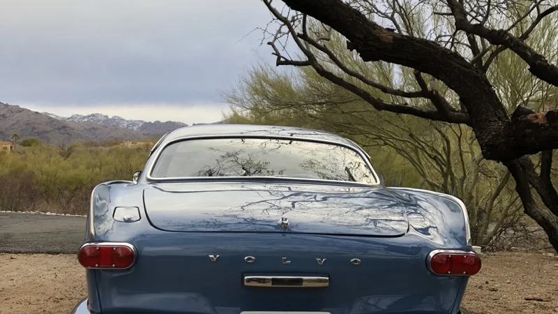 1964 Volvo 1800S 8