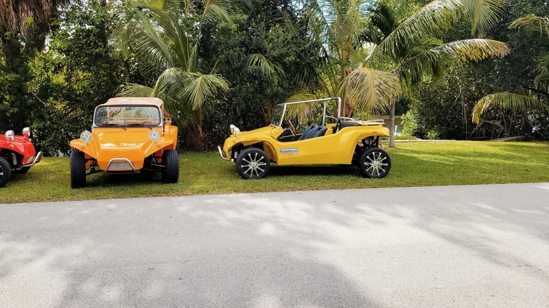 1965 Volkswagen Buggy