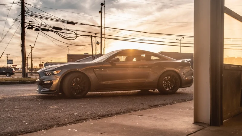 2019 Shelby GT350 6