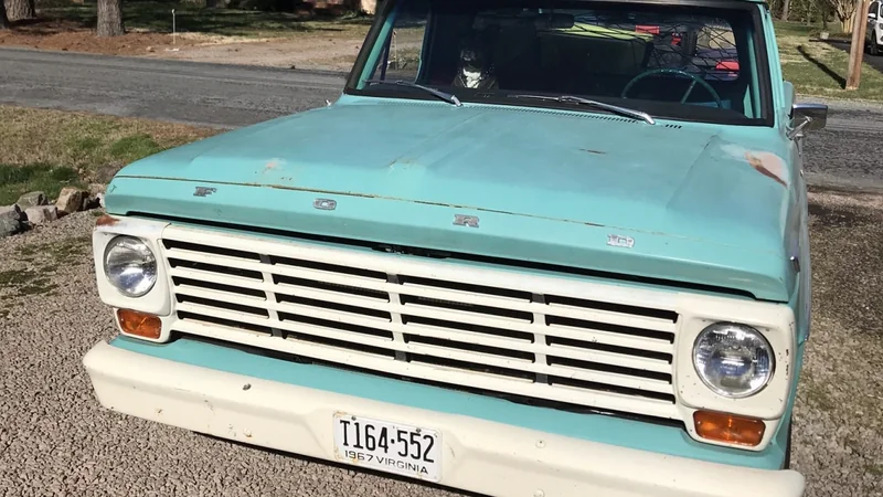 1967 Ford F100 6