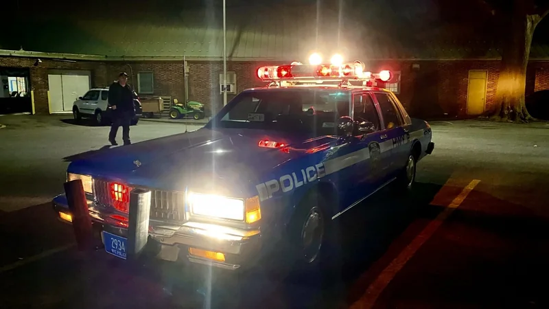 1989 Chevrolet Caprice Classic 3