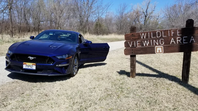 2020 Ford Mustang 3