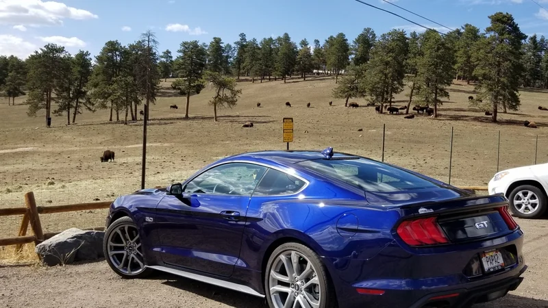 2020 Ford Mustang 5