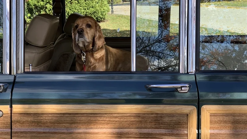 1991 Jeep Grand Wagoneer 11