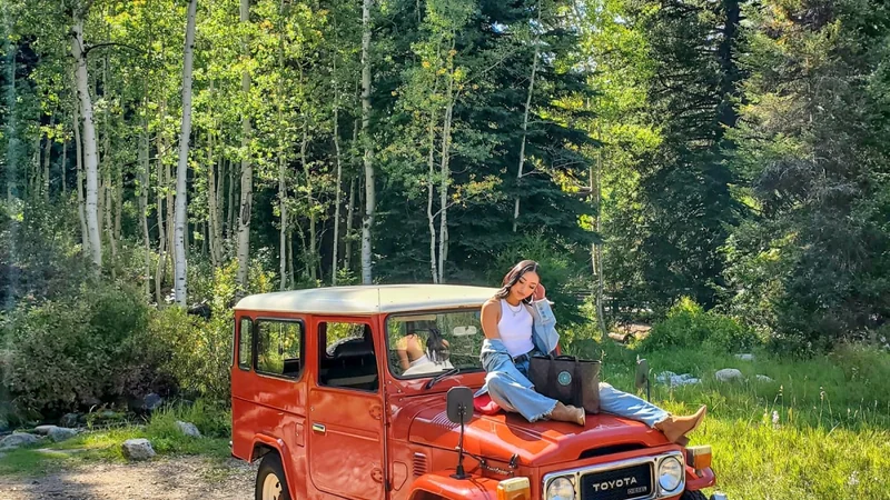 1983 Toyota Land Cruiser BJ46