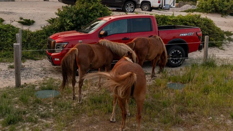 2021 Nissan Titan 4