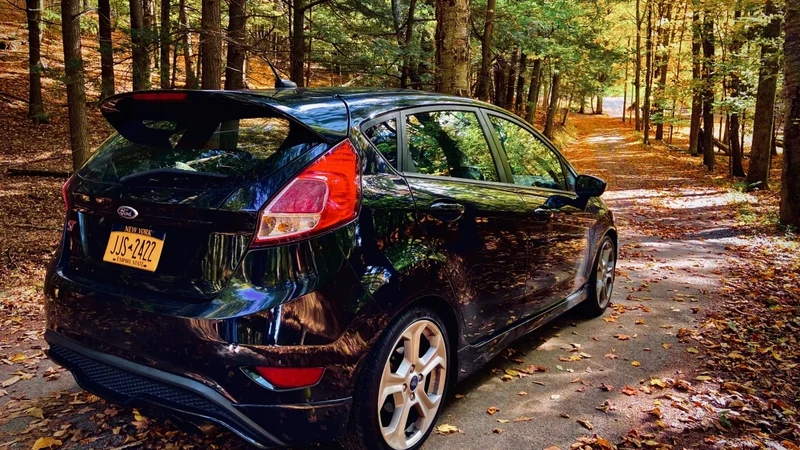 2014 Ford Fiesta ST 2