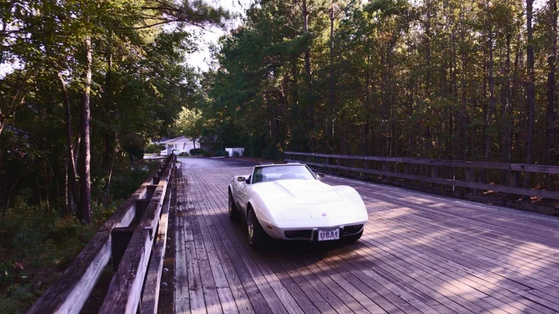 1975 Chevrolet Corvette 11