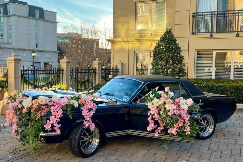 1964 Ford Mustang in North Bethesda 6
