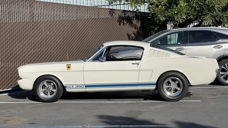 1965 Shelby GT350