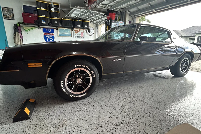 1981 Chevrolet Camaro 6
