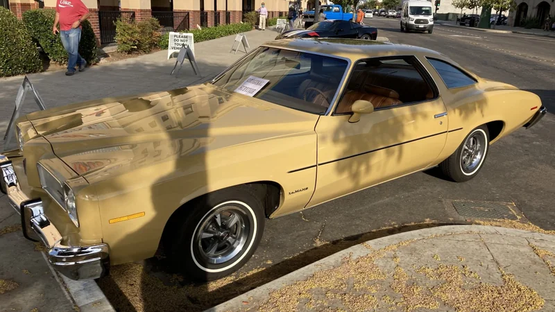 1973 Pontiac LeMans 2