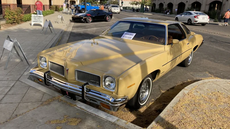1973 Pontiac LeMans 3