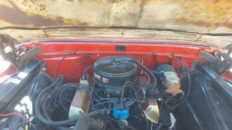 1965 Ford F-250 9