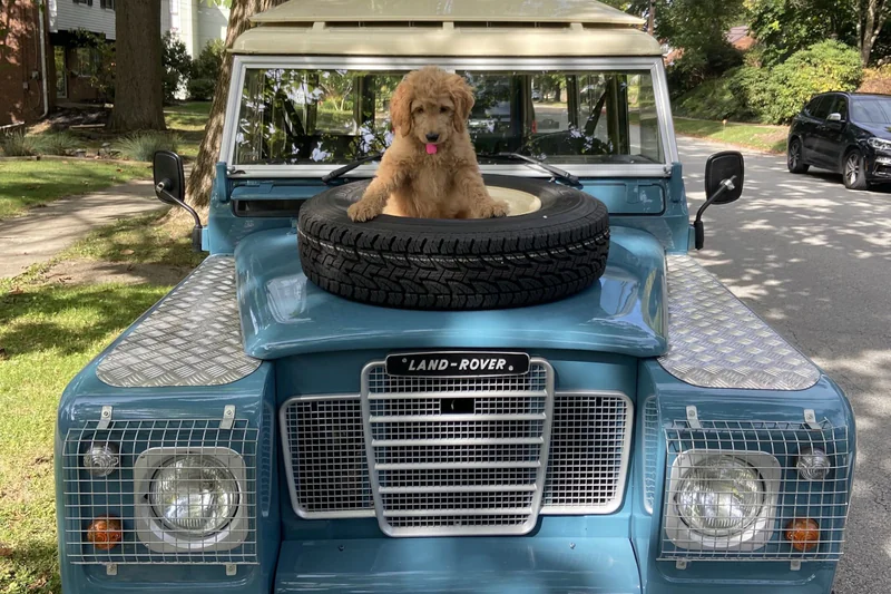 1982 Land Rover Series III 4
