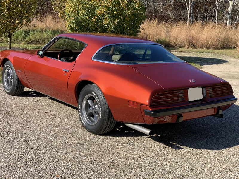 1975 Pontiac Firebird Esprit 3