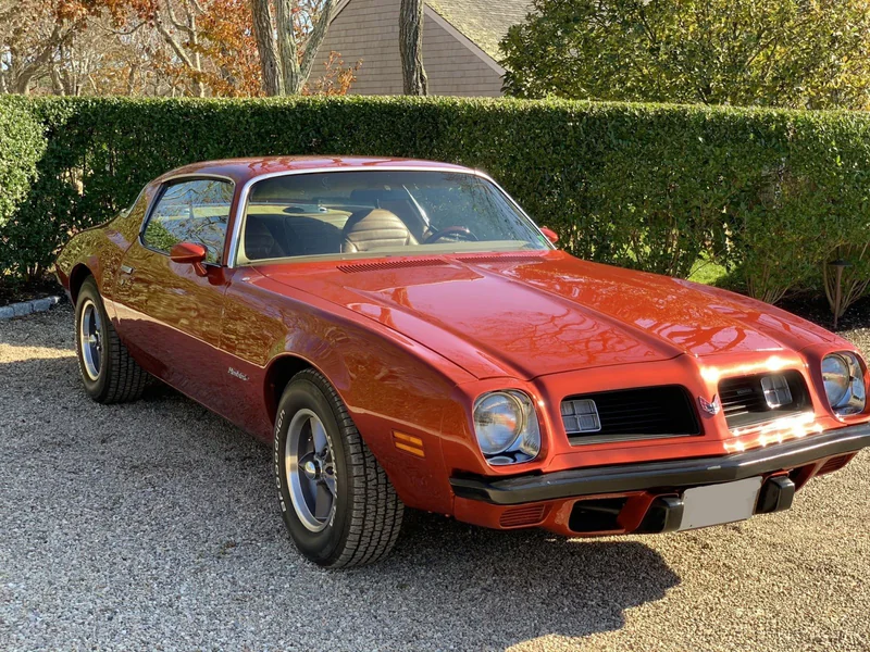 1975 Pontiac Firebird Esprit 5