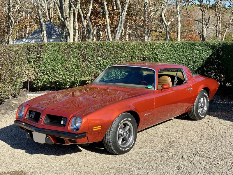 1975 Pontiac Firebird Esprit 6