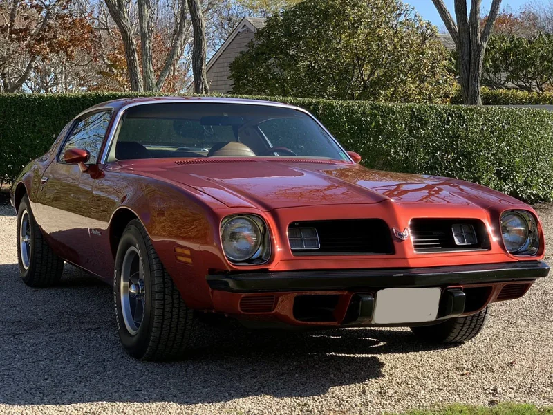 1975 Pontiac Firebird Esprit 7