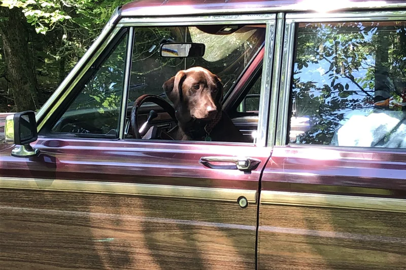1991 Jeep Grand Wagoneer