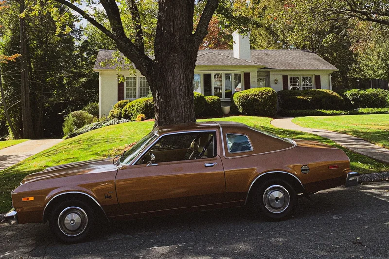 1979 Plymouth Volare Base 4