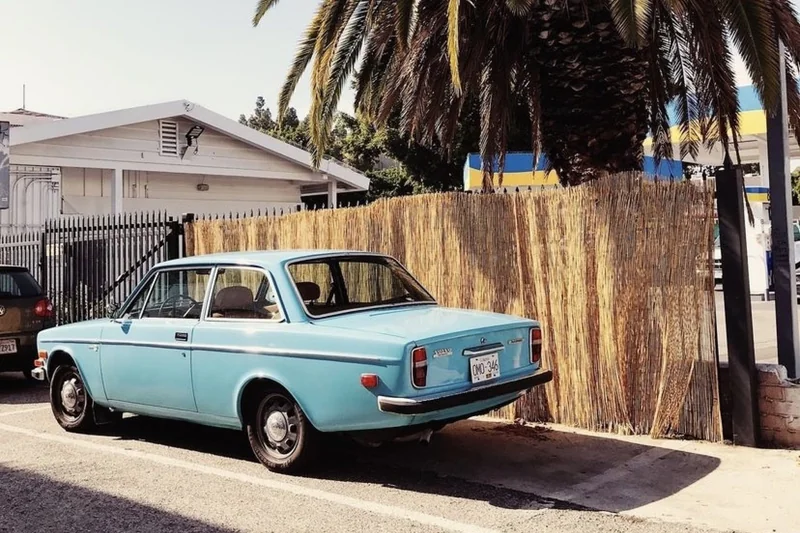 1972 Volvo 142e 3