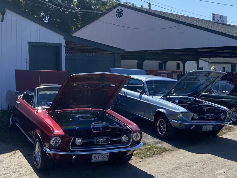 1967 Ford Mustang