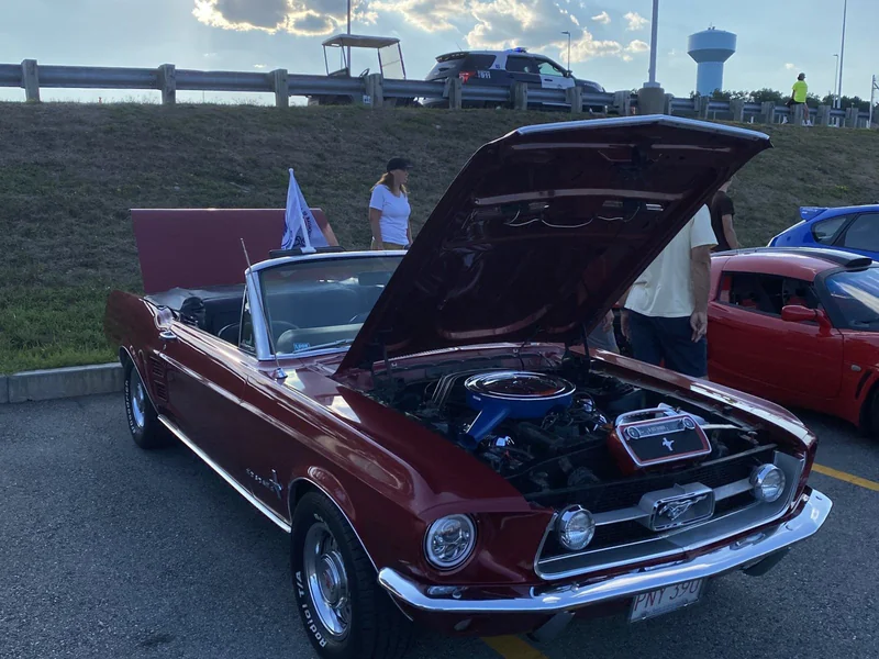 1967 Ford Mustang