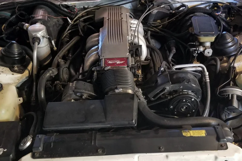 1985 Pontiac Firebird Trans Am 5