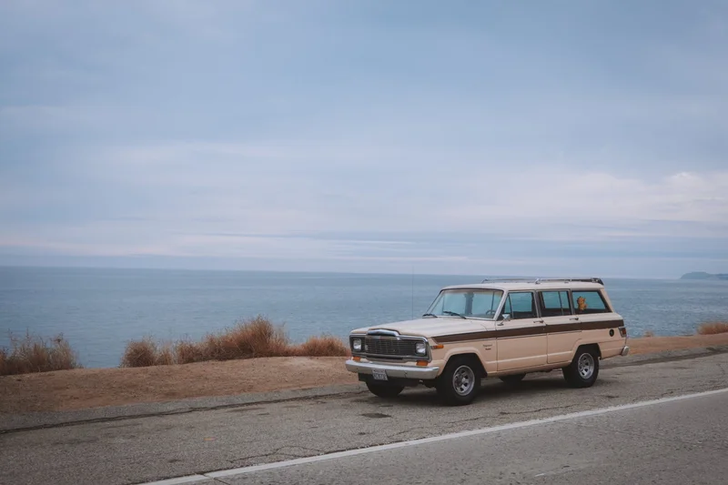 1982 Jeep Wagoneer Custom 2