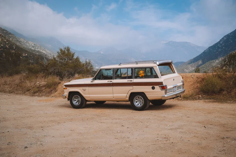 1982 Jeep Wagoneer Custom 9
