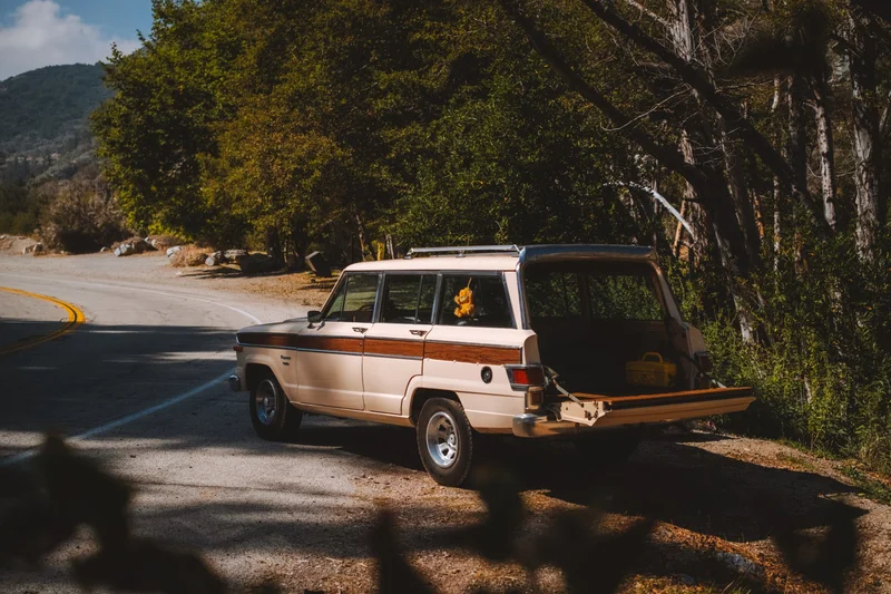1982 Jeep Wagoneer Custom 11