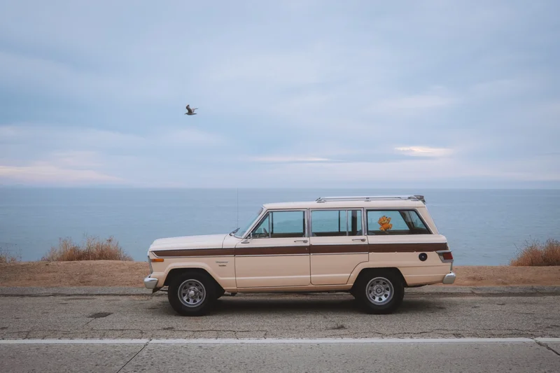 1982 Jeep Wagoneer Custom 12